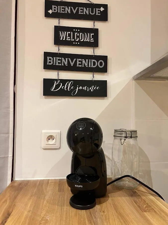 Studio En Centre Ville + Wifi Labruguière فرنسا